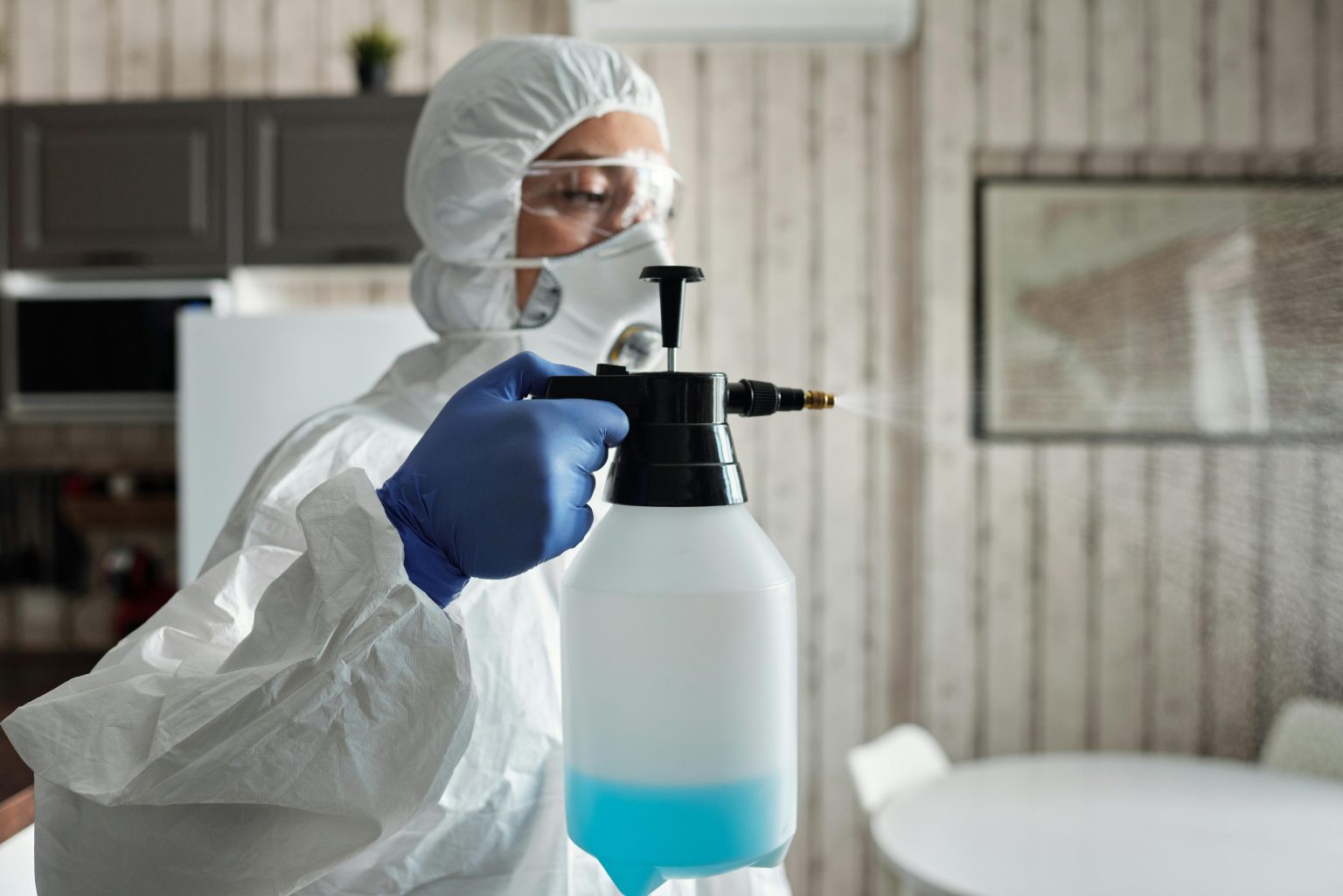 Safeguard Your Family with Expert Pest Removal