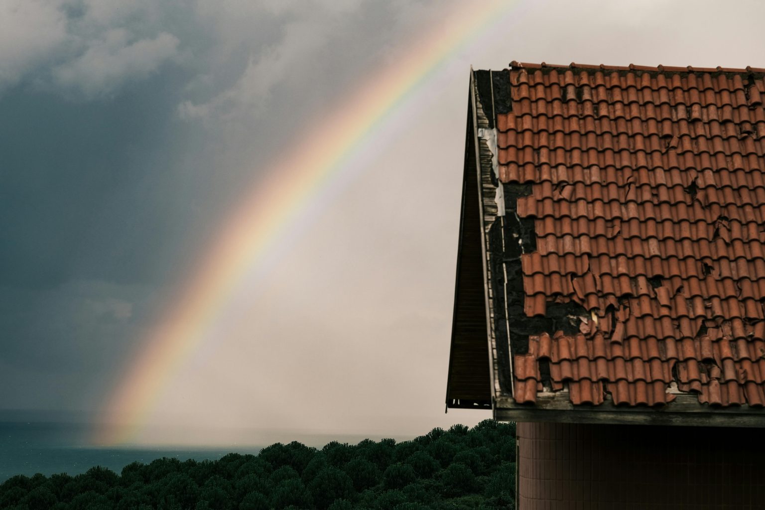 Signs Your Roof Needs Repairs and What to Do About It